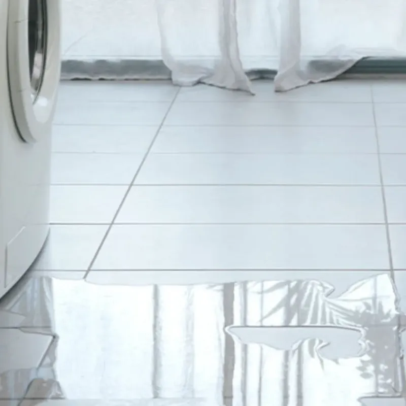 Appliance Leak Cleanup in Brooksville, KY