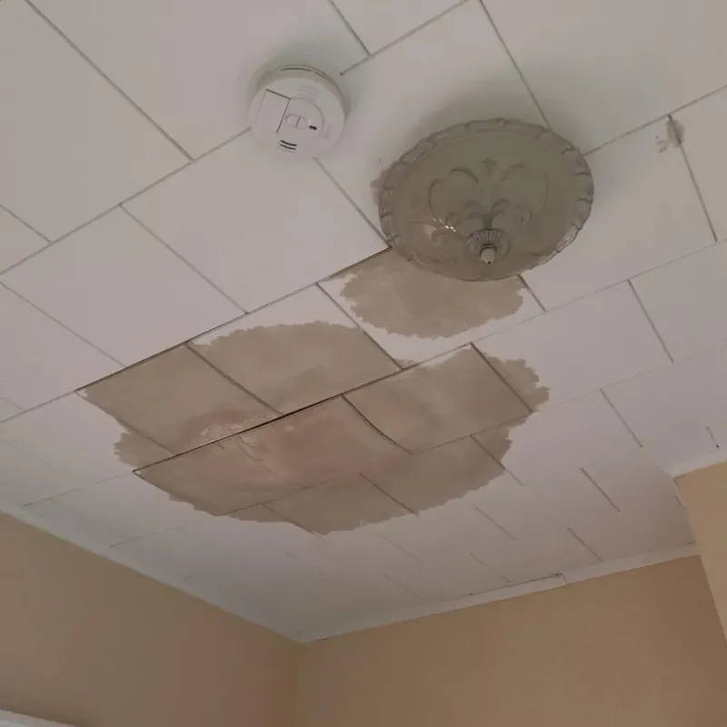 Ceiling Water Damage Repair in Brooksville, KY