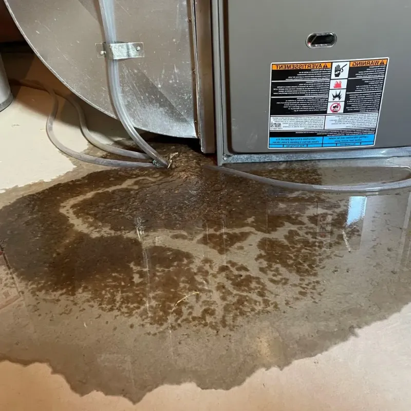 Pipe Burst and Leak Restoration in Brooksville, KY