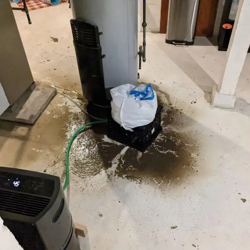 Sewage Backup Cleanup Service in Brooksville, KY
